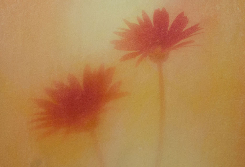 Takashi Sugimoto, série Flowers, tirage sur washi, 2024